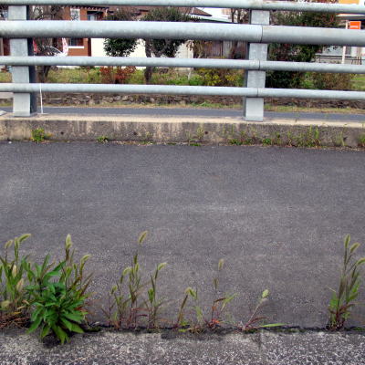 c0147952_029373.jpg
