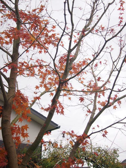 b0246758_15165445.jpg