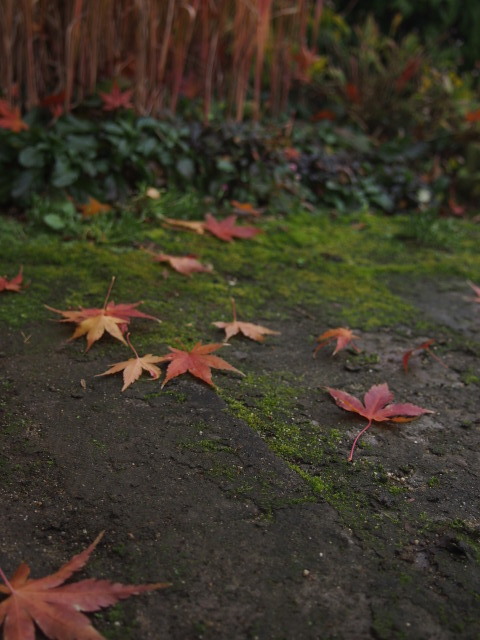 b0246758_15195337.jpg