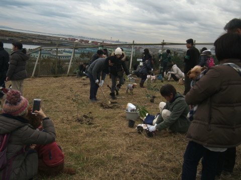 e0119258_1042695.jpg