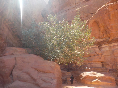 c0351060_01112271.jpg
