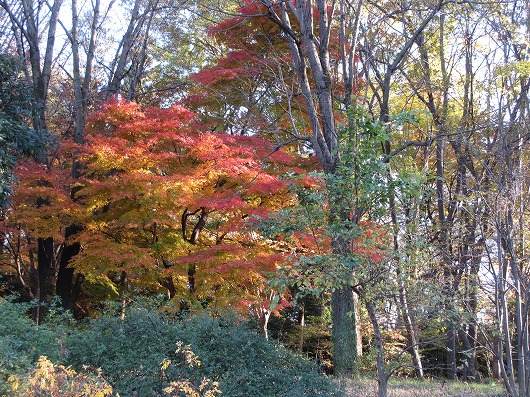 b0145863_0185716.jpg