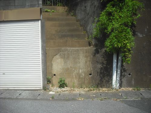 b0206463_1285830.jpg