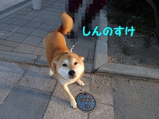 d0353074_17293965.jpg