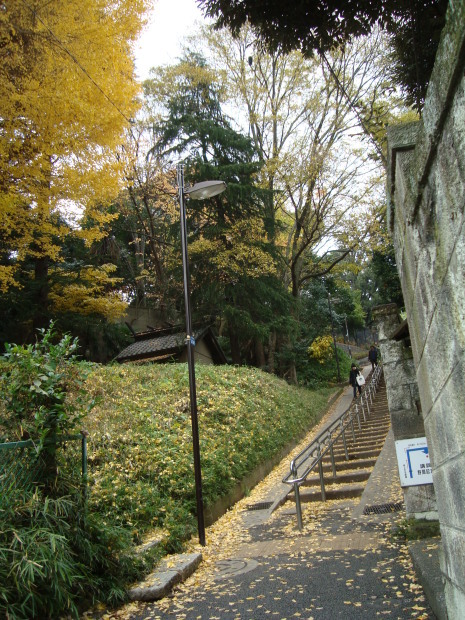 e0291281_22274167.jpg