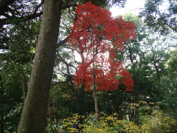 e0291281_22292688.jpg