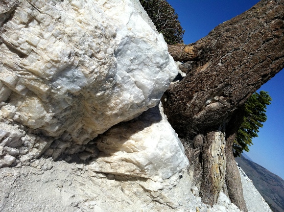 d0080282_15264490.jpg