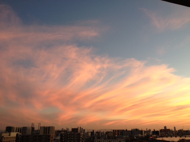 f0204295_1825544.jpg