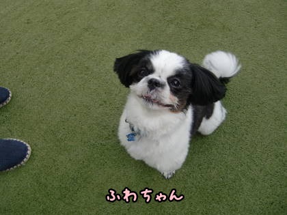 a0338800_11593766.jpg
