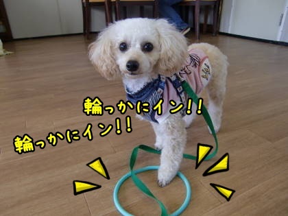 a0338800_12034912.jpg