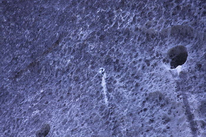 a0162707_20503919.jpg
