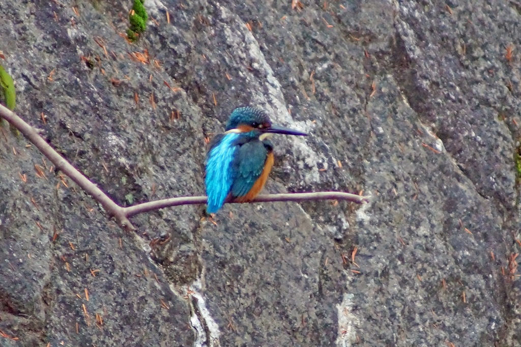 c0042418_8255370.jpg