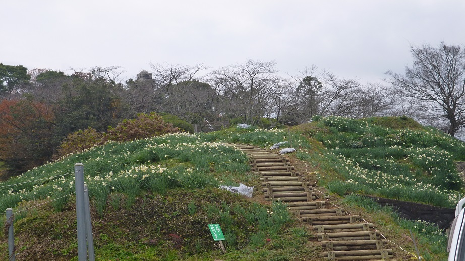 f0228619_20424210.jpg