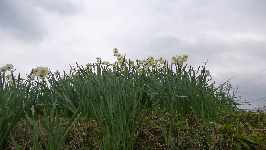 f0228619_2044044.jpg