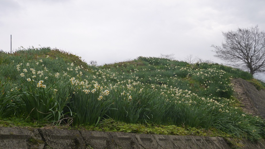 f0228619_20441757.jpg