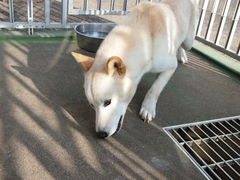 f0078320_0261322.jpg