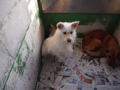 f0078320_0385449.jpg