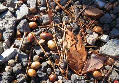 c0013922_07492806.jpg