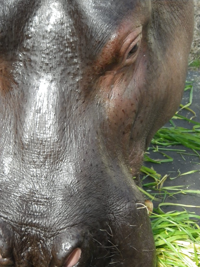 c0189724_20542997.jpg