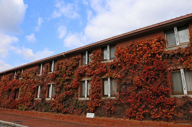 a0242438_19505670.jpg