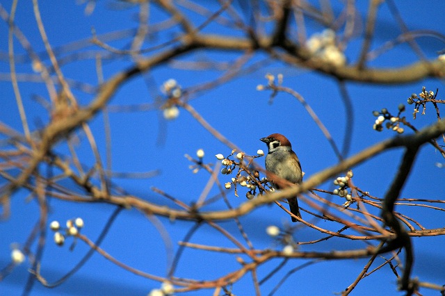a0242438_21272857.jpg