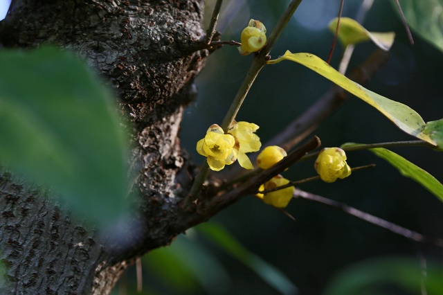 a0242438_21292365.jpg