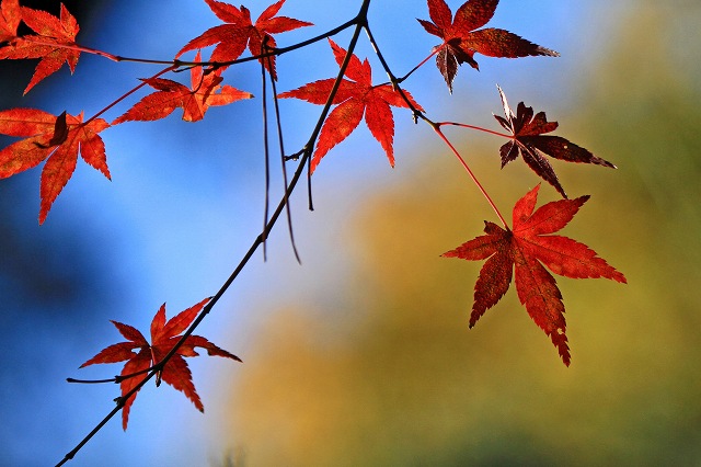 a0242438_21322787.jpg