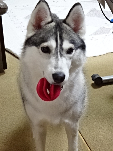a0241761_22024400.jpg