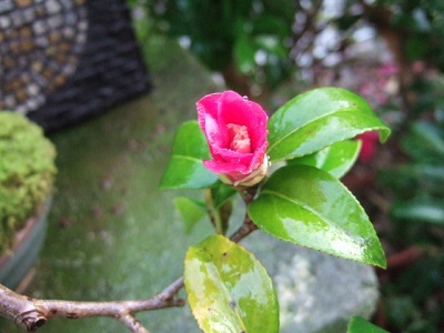 e0225164_16431746.jpg