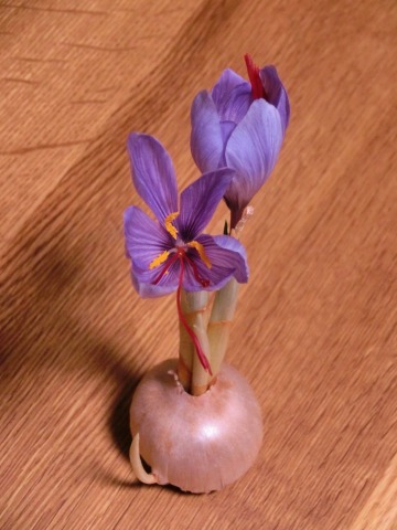 e0045768_22175754.jpg