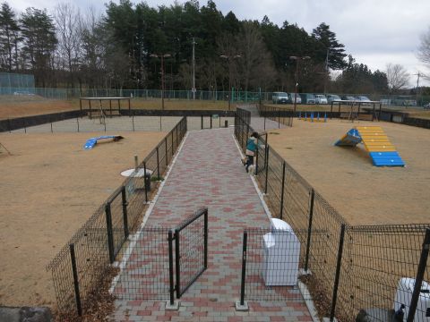 f0047773_21212693.jpg