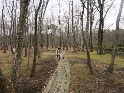 f0047773_2121751.jpg