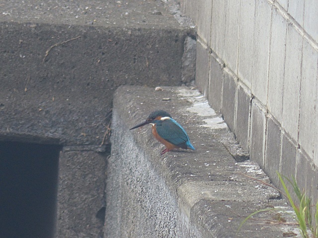 f0357487_21501083.jpg