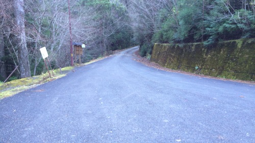 c0341290_23102918.jpg