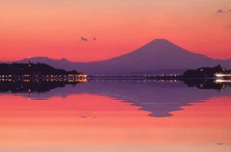 e0143690_19423447.gif