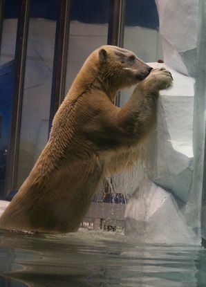 f0297893_1719504.jpg