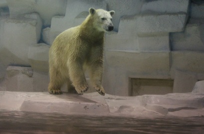 f0297893_1745457.jpg