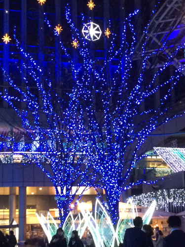 d0168003_17353171.jpg