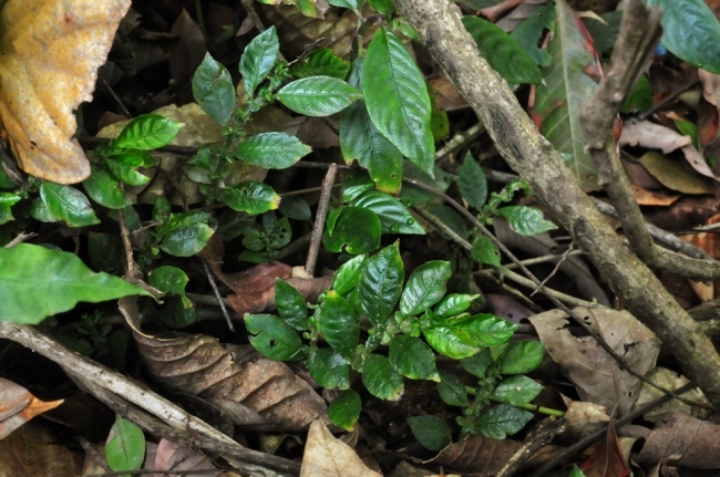 e0218504_14502176.jpg