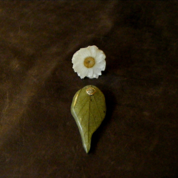 d0124206_19341448.jpg