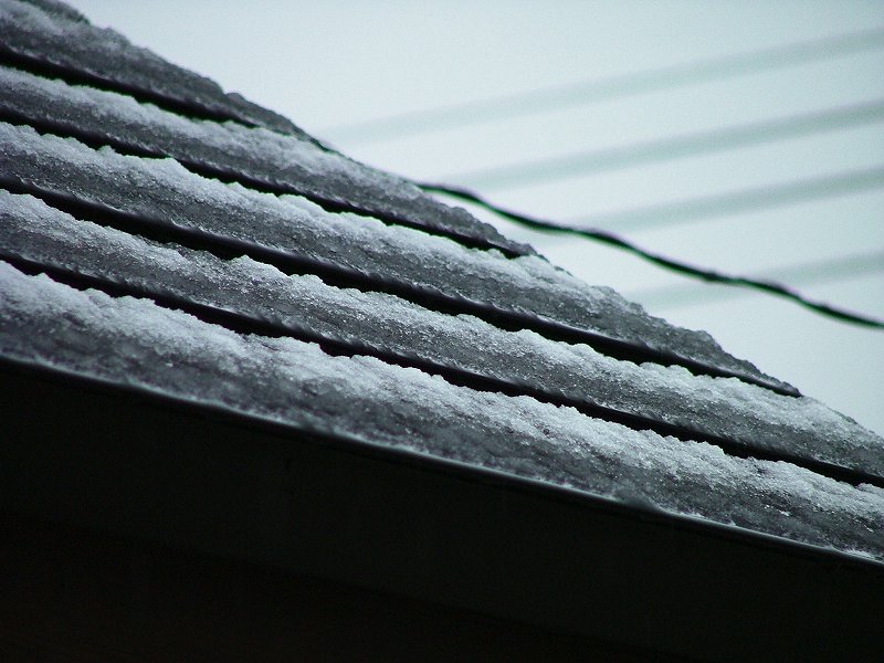 d0015124_1084553.jpg