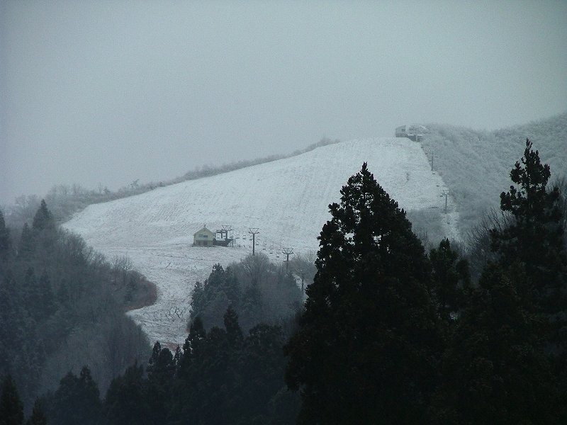 d0015124_1084748.jpg