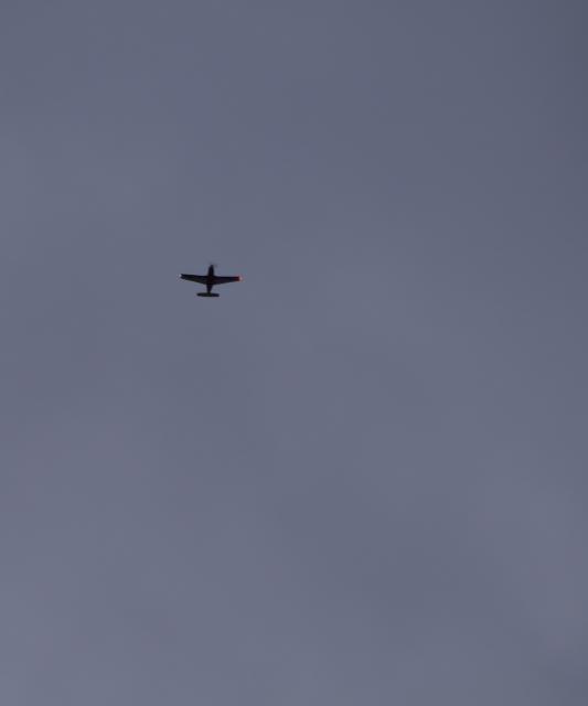 c0309734_23035481.jpg