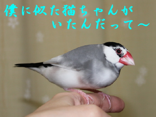 c0365734_21162920.jpg