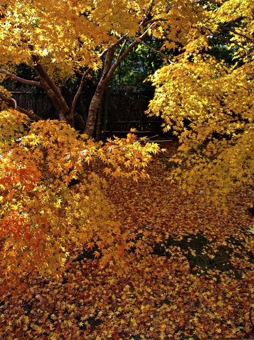 f0315034_14511342.jpg