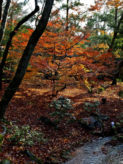 f0315034_14530161.jpg