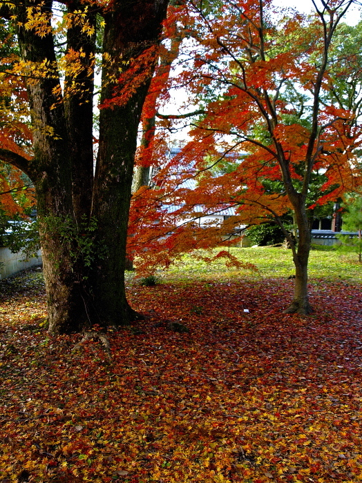 f0315034_15464210.jpg
