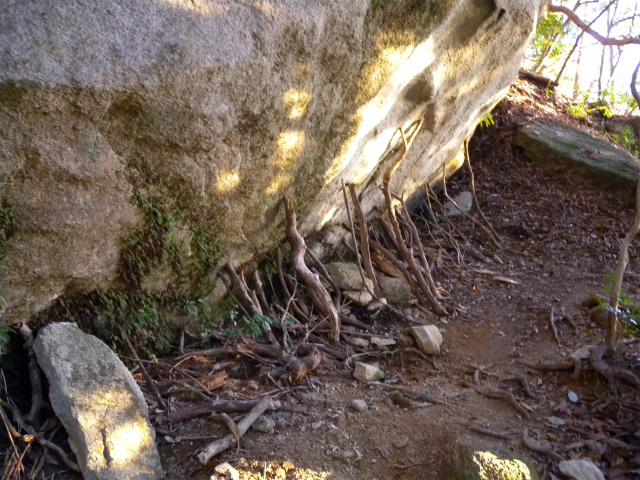e0272335_2114111.jpg