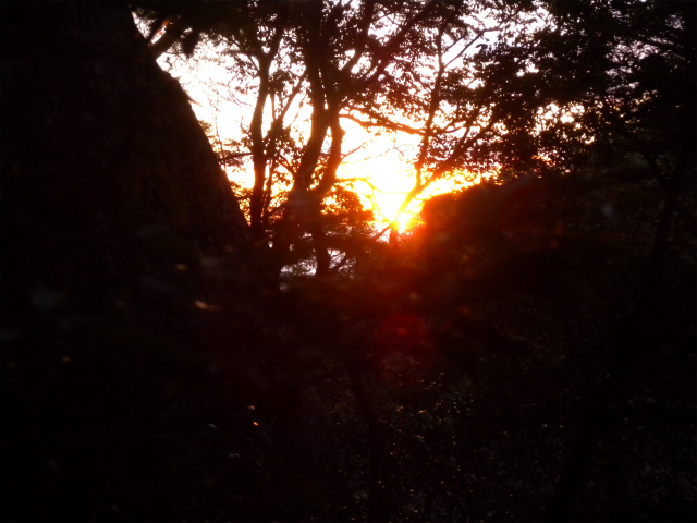 e0272335_2174735.jpg