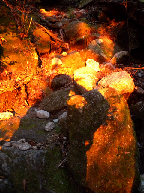 e0272335_2195916.jpg